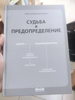 Книга Судьба и Предопределение