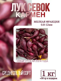 Лук севок кармен мелкой фракции 1 кг SAD_Biona 281298941 купить за 298 ₽ в интернет-магазине Wildberries