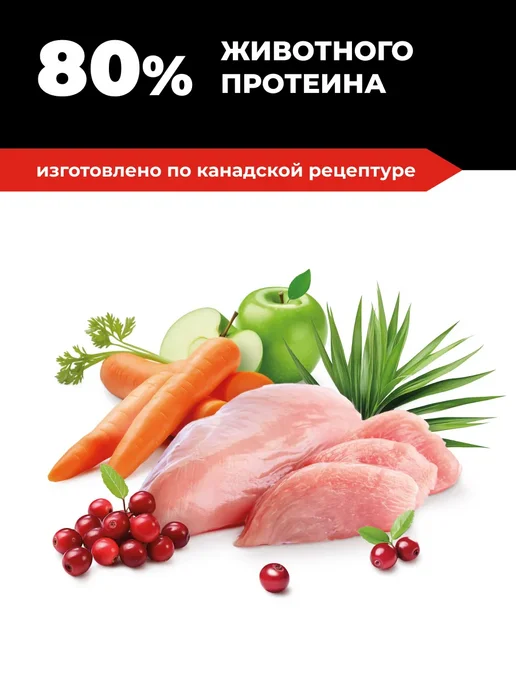 Сухой корм GO'KITCHEN Кошек Котят для собак, курица, 1,36 кг, фото 7