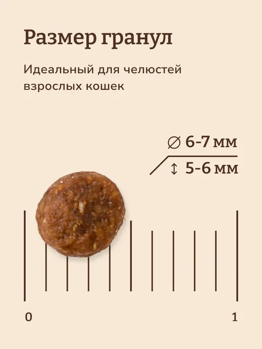 Сухой корм NOW'KITCHEN Кошек для собак, взрослые, индейка, 1,36 кг, фото 5