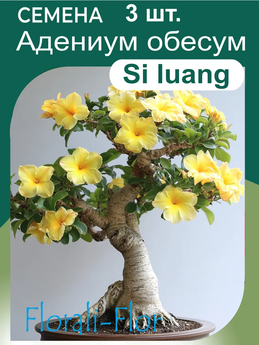 Семена Адениум обесум Si luang