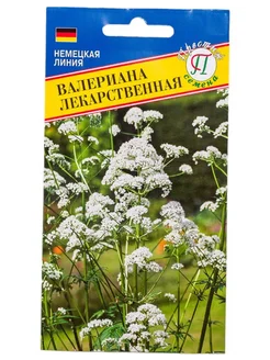 Валериана лекарственная Престиж-Семена 281382862 купить за 188 ₽ в интернет-магазине Wildberries