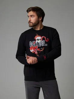 Брендовый свитшот кофта лонгслив Karl Lagerfeld 281384296 купить за 2 399 ₽ в интернет-магазине Wildberries