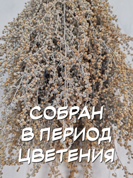 из Пущи Травяной веник полынь горькая 4шт, 4 шт, фото 3