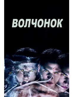 Волчонок, 2 сезон (2011-2017) (6 DVD) (DVD-R)