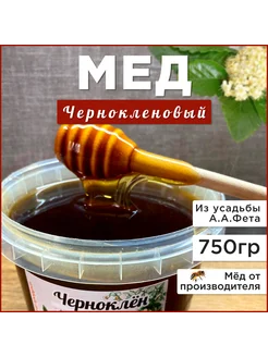 Мед черноклен 750 грамм