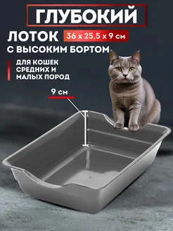 Лоток для кошек БОТАНИКFOX 282114940 купить за 276 ₽ в интернет-магазине Wildberries