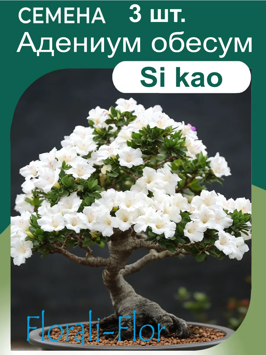 Семена Адениум обесум si kao