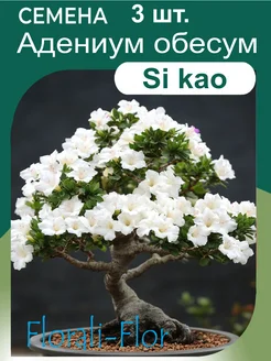 Семена Адениум обесум si kao Florali-Flor 282326648 купить за 260 ₽ в интернет-магазине Wildberries