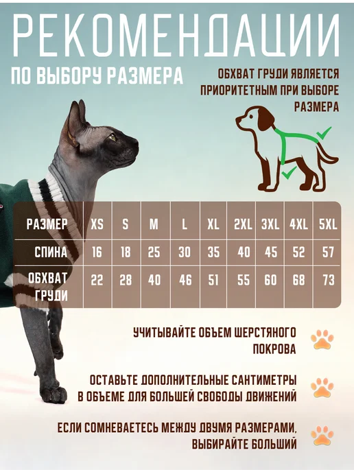 Кошка Одета Одежда для кошек свитер кофта толстовка, зеленый, фото 2