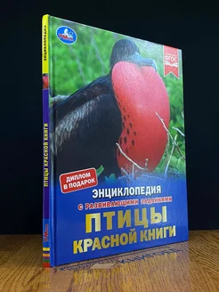 Птицы Красной книги. Энциклопедия с развивающими заданиями