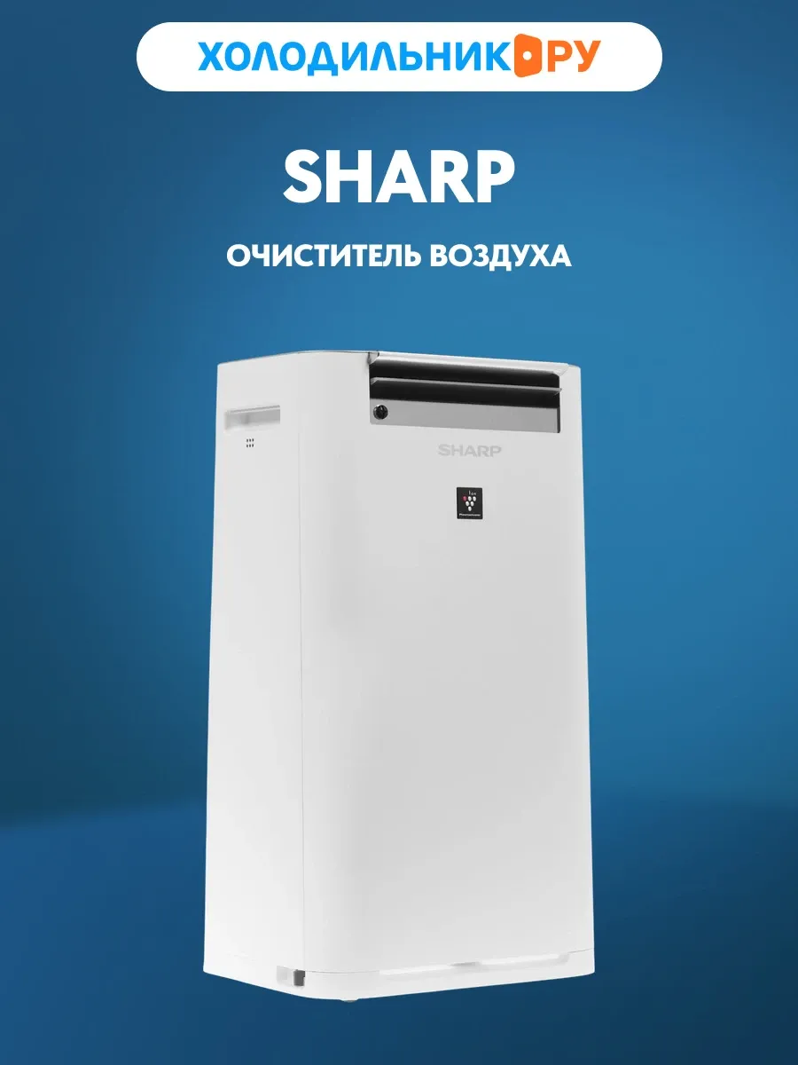 Воздухоочиститель KCG 61 RW