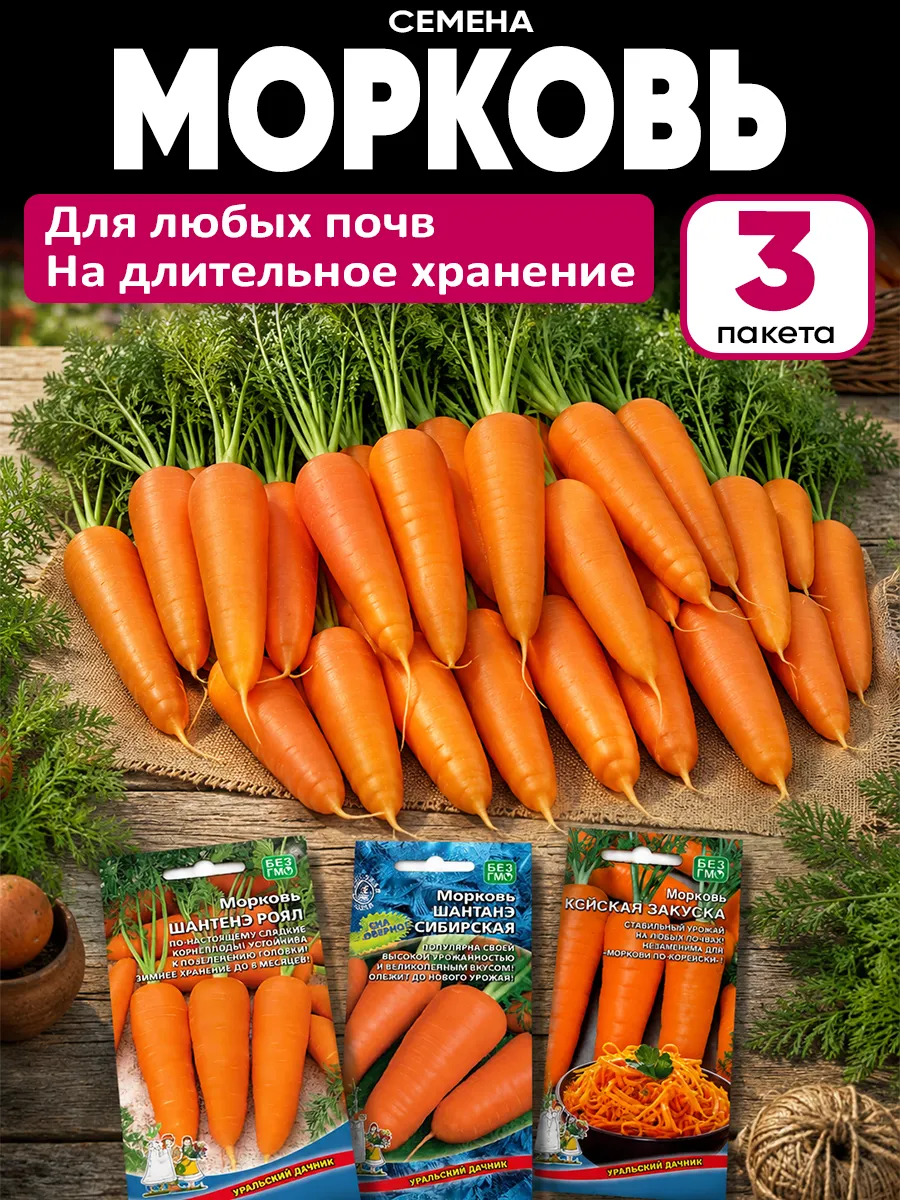 Морковь семена для хранения крупная