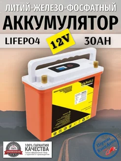 Аккумулятор литий-железо-фосфатный Lifepo4 30Ah 12v LiitoKala 282766938 купить за 10 764 ₽ в интернет-магазине Wildberries