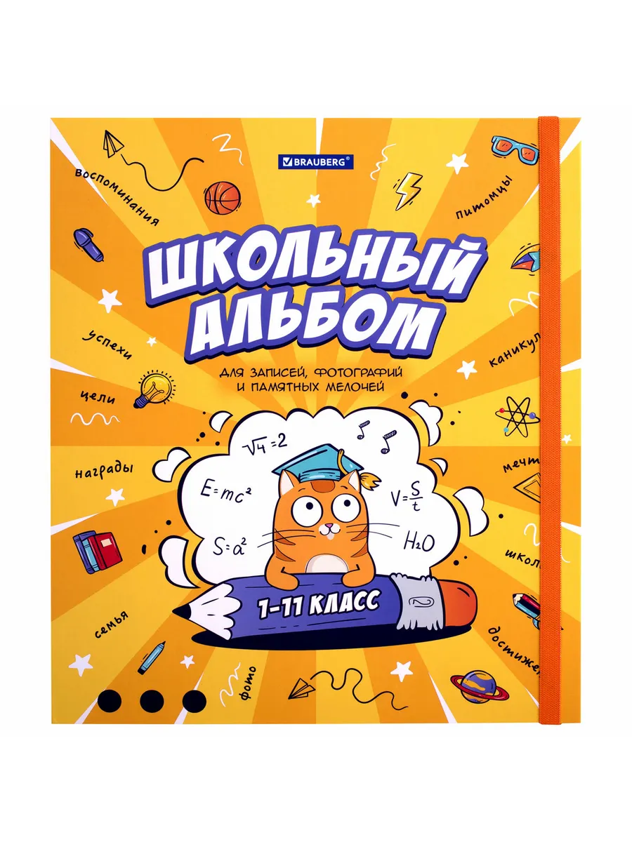 Папка-портфолио школьника, А4, ШКОЛЬНЫЙ АЛЬБОМ, 10 вкладышей