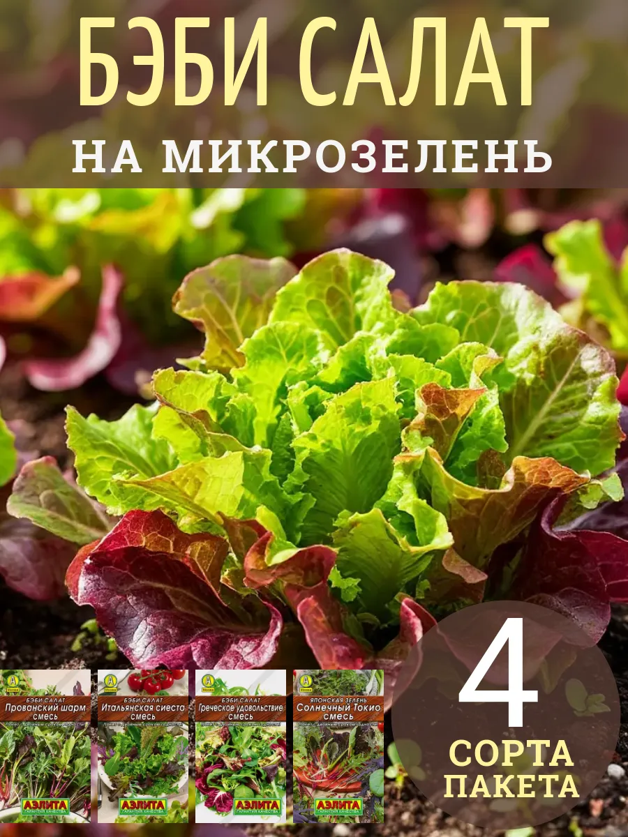 Бэби салат семена 4 пакета