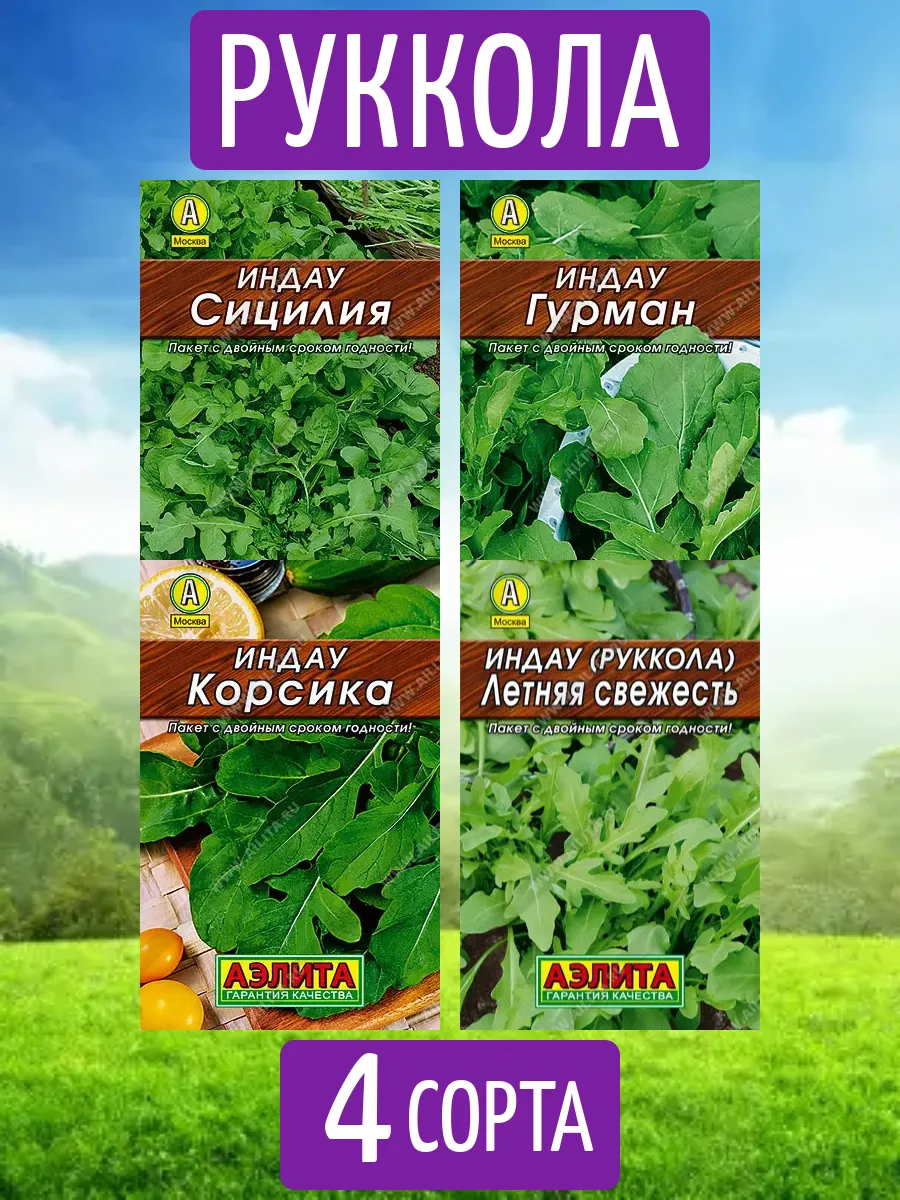 Руккола семена