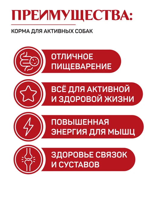Сухой корм Jet Pet Classic Активных для собак, говядина, 12 кг, фото 2