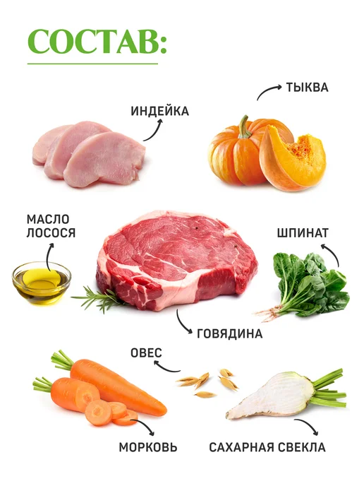 Сухой корм Jet Pet Classic для собак, щенки, говядина, 12 кг, фото 3