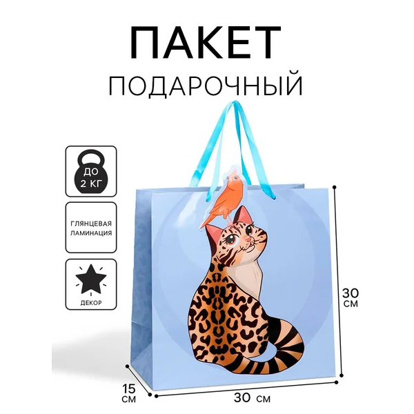 Подарочный пакет для упаковки подарка