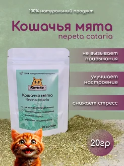 Кошачья мята