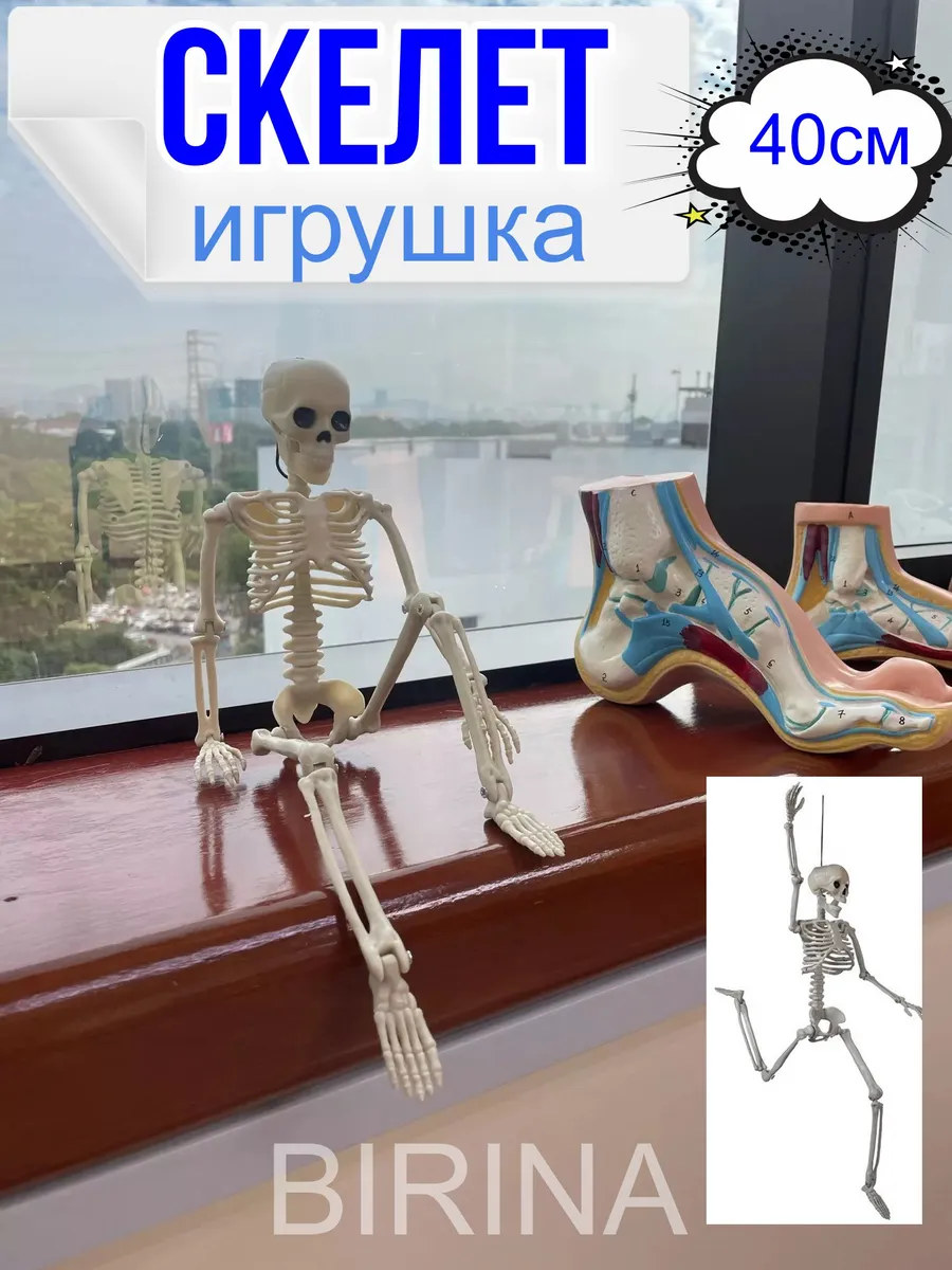 Скелетон, модель скелет...