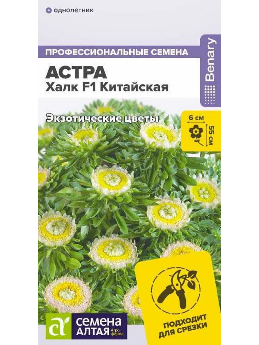 Семена Астра Халк F1 китайская 5 шт