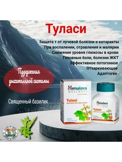 Туласи (Тулси, Tulasi), Himalaya Herbals, 60 таб. (250 мг.) 283155835 купить за 406 ₽ в интернет‑магазине Wildberries