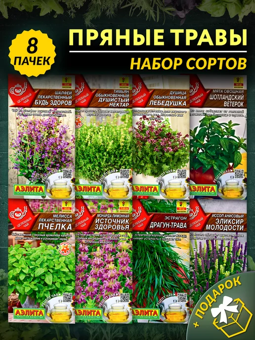 ГАВРИШ Семена пряных трав для чая, вариант, фото 2