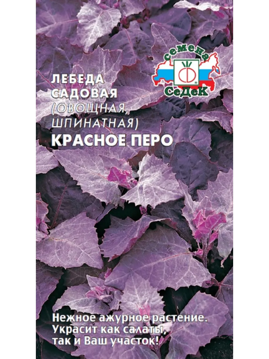 Семена Лебеды Купить