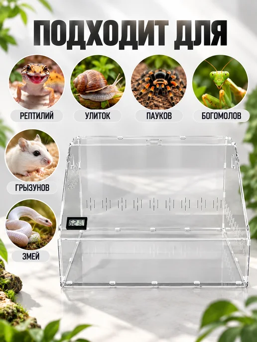 TERRAFORMICA RoomBox Jumbo террариум для эублефаров, улиток, грызунов, белый, фото 2