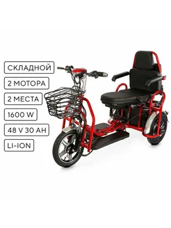 Электротрицикл Transporter DUAL TRION 283626813 купить за 146 463 ₽ в интернет-магазине Wildberries